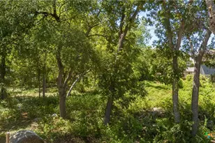 215 Poppy St, San Antonio, TX 78203 - Photo 5