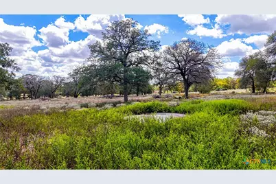 141 Oak Hill Road, La Vernia, TX 78121 - Photo 7