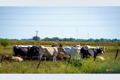 2525 Fm-2623, Seguin, TX 78155 - Photo 15