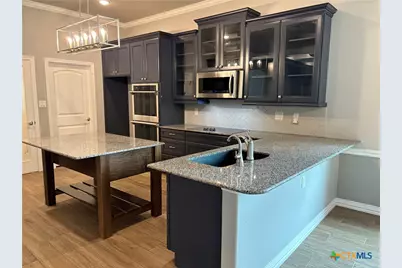 8381 Goliath Drive, Belton, TX 76513 - Photo 3