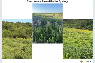 182 Lantana Lane, Maxwell, TX 78656 - Photo 41