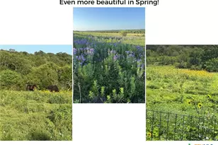 182 Lantana Ln, Maxwell, TX 78656 - Photo 41