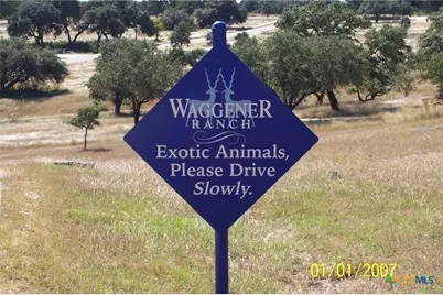 1059 Ranger Ridge, New Braunfels, TX 78132 - Photo 19