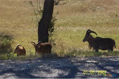 1059 Ranger Ridge, New Braunfels, TX 78132 - Photo 21