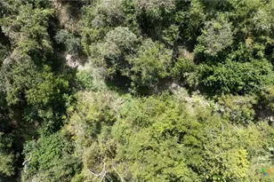 1611 W Main, Little River Academy, TX 76554 - Photo 5