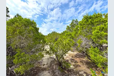 2085 Fm 484, Canyon Lake, TX 78133 - Photo 13