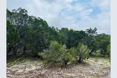 21603 Wyoming Pass, Leander, TX 78645 - Photo 3