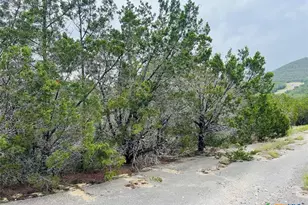 21603 Wyoming Pass, Leander, TX 78645 - Photo 19