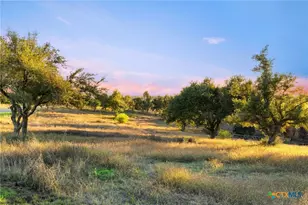 18429 Moreh Peak Pass, Austin, TX 78738 - Photo 7