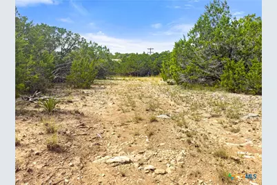 242 Thoroughbred Lane, Spring Branch, TX 78070 - Photo 11