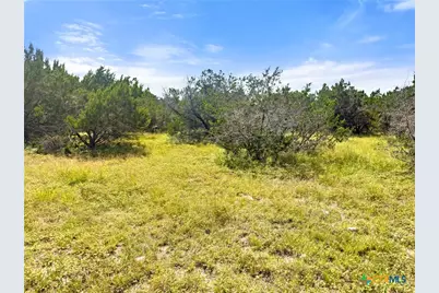 242 Thoroughbred Lane, Spring Branch, TX 78070 - Photo 5