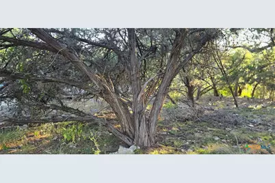 203 Palm, Spring Branch, TX 78070 - Photo 3