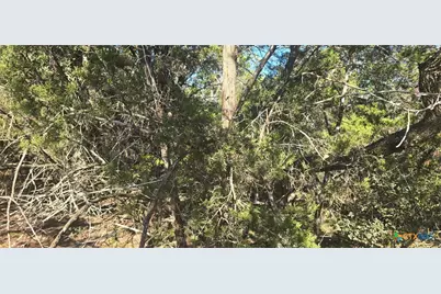 716 Line Camp Loop, Spring Branch, TX 78070 - Photo 3