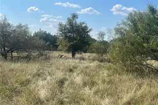 1020 Cr 315, Lometa, TX 76853 - Photo 29