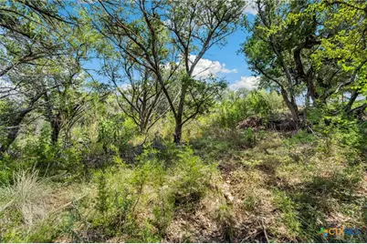 1484 Stahlman Way, New Braunfels, TX 78132 - Photo 11