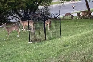 1307 Sherry Ln, Copperas Cove, TX 76522 - Photo 47