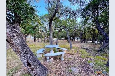 4575 Tanglewood Trail, Spring Branch, TX 78070 - Photo 37