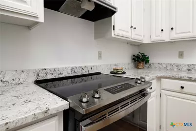 142 W San Antonio, New Braunfels, TX 78130 - Photo 7