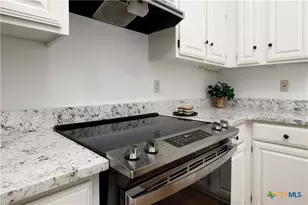 142 W San Antonio, New Braunfels, TX 78130 - Photo 7