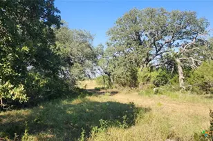 Tbd County Road 326, Bertram, TX 78605 - Photo 11