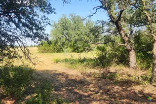 Tbd County Road 326, Bertram, TX 78605 - Photo 5