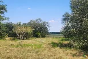 Tbd County Road 326, Bertram, TX 78605 - Photo 7
