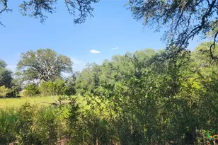 Tbd County Road 326, Bertram, TX 78605 - Photo 9