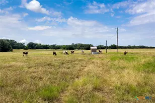 Tbd County Road 326, Bertram, TX 78605 - Photo 15