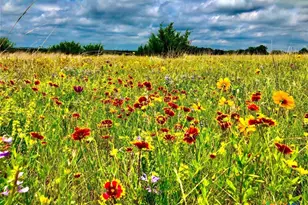 1782 FM 218, Hamilton, TX 76531 - Photo 41