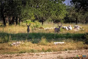 1782 FM 218, Hamilton, TX 76531 - Photo 3