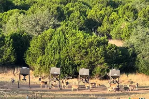 1782 FM 218, Hamilton, TX 76531 - Photo 5