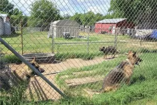 1518 Golf Course Rd, Gatesville, TX 76528 - Photo 21