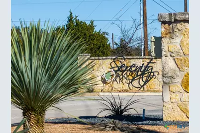 319 Serenity Pass, Spring Branch, TX 78070 - Photo 23