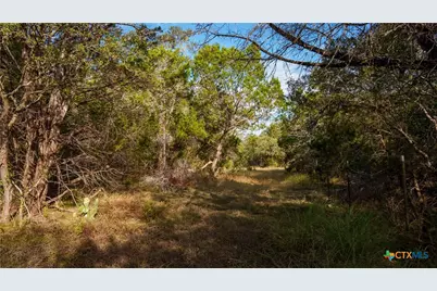 28084 Delafield Drive, New Braunfels, TX 78132 - Photo 7