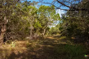 28084 Delafield Dr, New Braunfels, TX 78132 - Photo 7