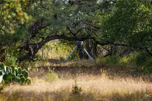 28084 Delafield Dr, New Braunfels, TX 78132 - Photo 13