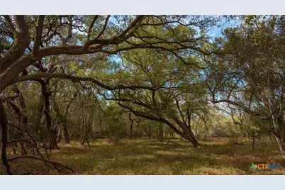 28084 Delafield Drive, New Braunfels, TX 78132 - Photo 9