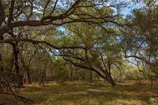 28084 Delafield Dr, New Braunfels, TX 78132 - Photo 9