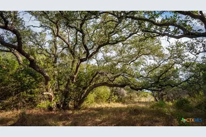 28084 Delafield Drive, New Braunfels, TX 78132 - Photo 11