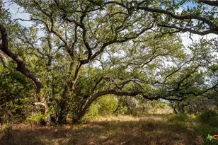 28084 Delafield Dr, New Braunfels, TX 78132 - Photo 11