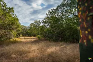 28084 Delafield Dr, New Braunfels, TX 78132 - Photo 9