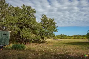 28084 Delafield Dr, New Braunfels, TX 78132 - Photo 11