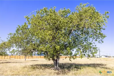 149 Caliza Drive, Bertram, TX 78605 - Photo 15