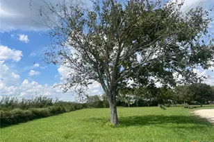 10590 FM1593, Lolita, TX 77971 - Photo 9