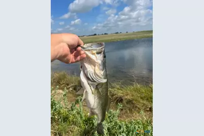 16120 Audrey Lane, Holland, TX 76534 - Photo 33