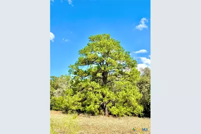 Tbd Rabel Road, Rosanky, TX 78953 - Photo 15
