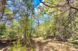 Tbd Rabel Rd, Rosanky, TX 78953 - Photo 11