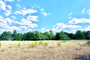 Tbd Rabel Rd, Rosanky, TX 78953 - Photo 3