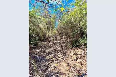 Tbd Rabel Road, Rosanky, TX 78953 - Photo 13