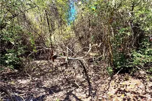 Tbd Rabel Rd, Rosanky, TX 78953 - Photo 13